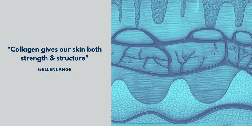 Collagen In Our Skin